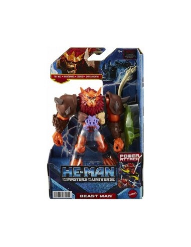 HE-MAN HDY35 PERSONAGGIO DELUXE ASSORTITO su TreG Ingrosso