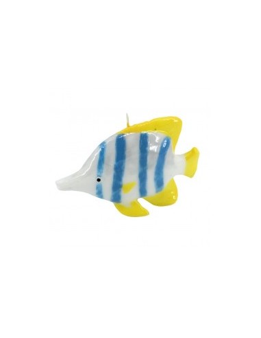 MARE CANDELA 550640 PESCE GIALLO BLU 16CM su TreG Ingrosso