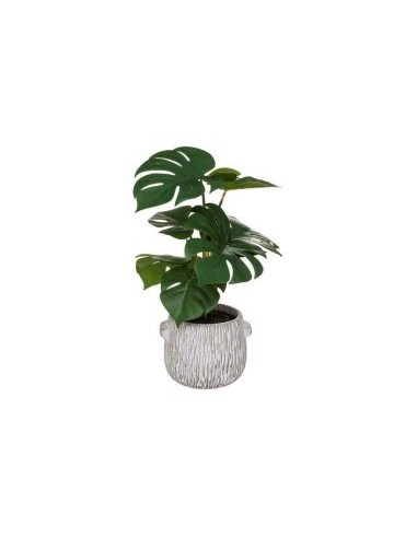 PIANTA VERDE 185458 VASO CEMENTO 28X35CM su TreG Ingrosso