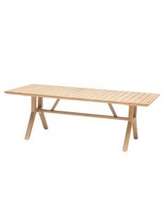 TAVOLO 171145 PAPUASIA 220X100X75CM LEGNO su TreG Ingrosso