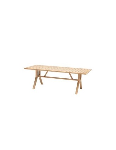 TAVOLO 171145 PAPUASIA 220X100X75CM LEGNO su TreG Ingrosso