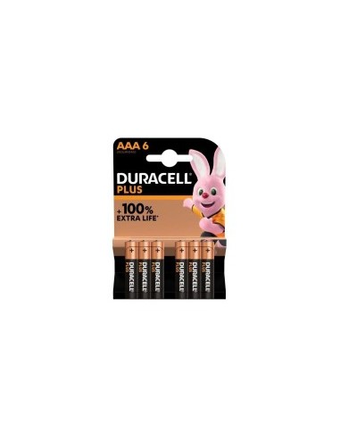 DURACELL BL 6 PILE MINISTILO AAA su TreG Ingrosso