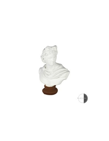 MEZZO BUSTO BIANCO PORTAFIORE H15CM RESINA