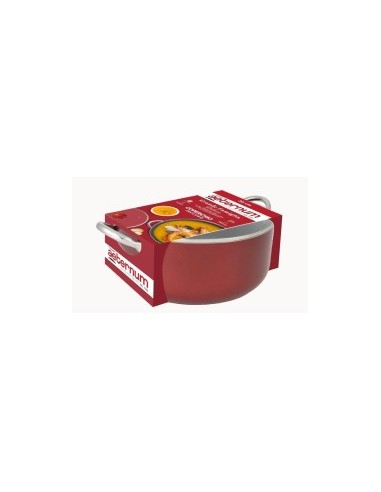 GRANDE FAMIGLIA CASSERUOLA+COPERCHIO 30CM ROSSO su TreG Ingrosso