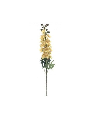 DELPHINIUM HERITAGE 9553 ASSORTITO su TreG Ingrosso