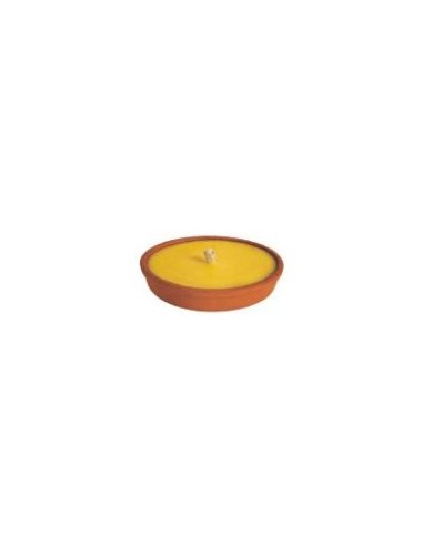 CITRONELLA SUN TERRACOTTA D14CM su TreG Ingrosso