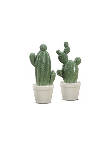 DEC CACTUS 46669 CERAMICA H25CM ASSORTITO su TreG Ingrosso