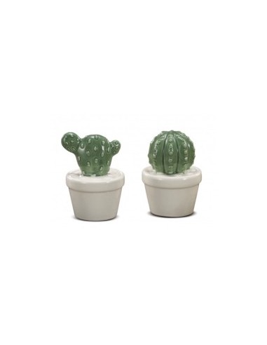 DEC CACTUS 46667 CERAMICA 6X9CM ASSORTITO su TreG Ingrosso