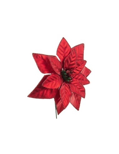 PICK OLIMPIA POINSETTIA ROSSO H15CM su TreG Ingrosso