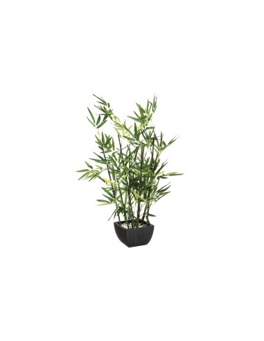 PIANTA 109591 BAMBOO CON VASO H70CM su TreG Ingrosso