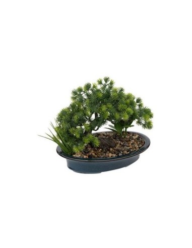 PIANTA BONSAI 196709 VASO CERAMICA 26X20X24CM