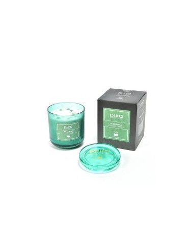 CANDELA 02443 WILD MUSK 380GR