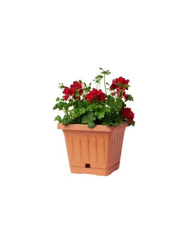 VASO TERRA 30399 QUADRATO 20X20 TERRACOTTA