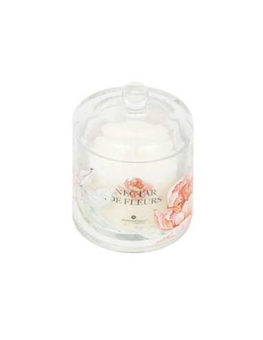 CANDELA PROFUMATA 200611D NETTARE D'ORCHIDEA 240GR