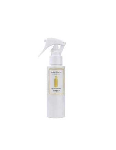 INTENSO PROF SPRAY 100ML ZENZERO/LIMONE su TreG Ingrosso