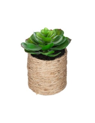 PIANTA VERDE 160065 VASO CORTA 16CM ASSORTITO