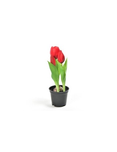 TULIPANO 12565 ROSSO GOMMA 21CM CON VASO