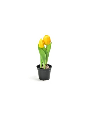 TULIPANO 12572 GIALLO GOMMA 21CM CON VASO