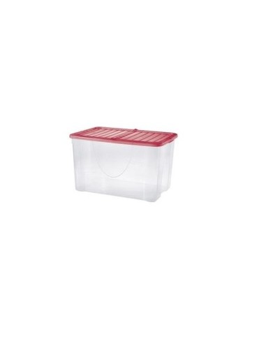 DODO BOX 60LT C/COP 57X39X35CM COLORI ASSORTITI