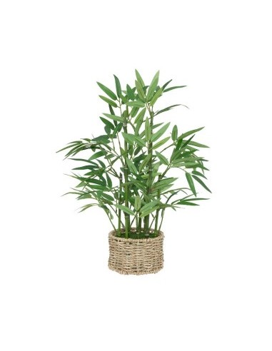 PIANTA 204209 BAMBOO 32X46CM VASO NATURALE