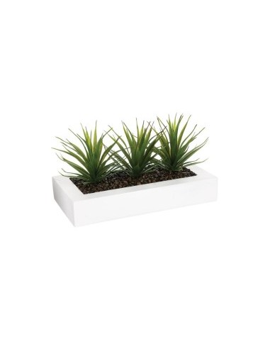 PIANTINA 110376 ALOE VERA 35X15X17CM CON VASO