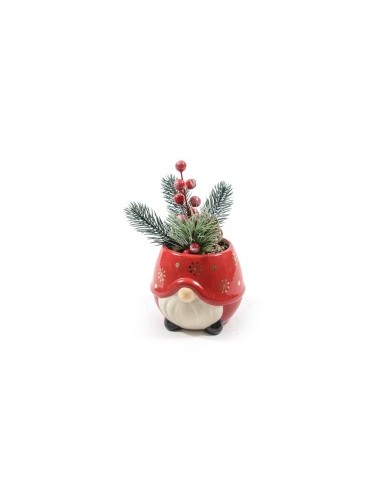 Piantina di Natale in Vaso di Ceramica 11x18cm - La Magia di Natale a casa tua