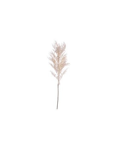 STELO 7639-01 PAMPAS GRASS CREMA