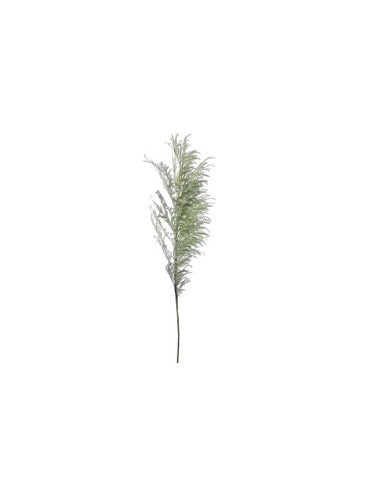 STELO 7639-09 PAMPAS GRASS VERDE