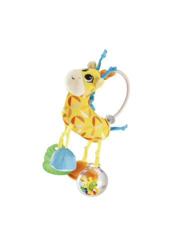 11569 MRS GIRAFFA TRLLINO PRIME SCOPERTE