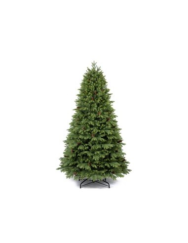 ALBERO GREEN 210.11755