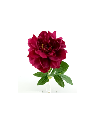 FIORE 40000001-22 PEONIA BURGUNDY 65CM